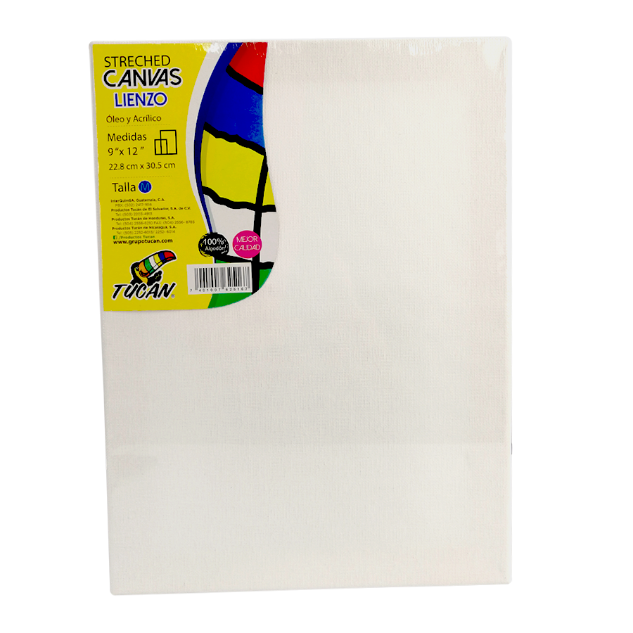 Stretched Canvas Tucan 9 X12