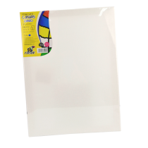 Stretched Canvas Tucan 12 X16