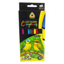 Crayon de Madera Alta Calidad Triangular 12 Colores