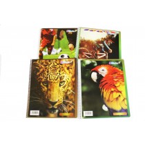 Cuaderno Espiral Carta 100h Liso Blanco