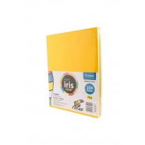 Papel Iris Surtido Tamaño Carta 250 Hojas 10 Colores