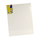 Canvas Stretched Tucan  16 x 20