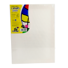 Stretched Canvas Tucan 9 X12