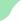 Blanco/Menta